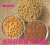 2015玉米大豆高粱混合营养杂粮面粉有机五谷杂粮组合 新鲜 粗粮