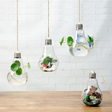 悬挂灯泡欧式创意玻璃花瓶透明水培花瓶玻璃花器现代客厅装饰花瓶