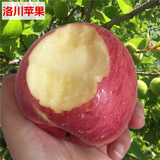 洛川红富士苹果陕西10斤批发包邮脆大果农家有机新鲜特级萍果水果