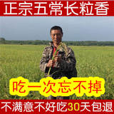 2015年东北大米新米五常长粒香大米黑龙江农家自产赛稻花香5kg