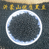 黑豆 沂蒙山农家自产黑豆粗粮250g 纯天然有机黄芯小黑豆 包邮