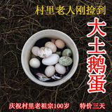 农家散养土鹅蛋 新鲜鹅蛋 鹅蛋农村老鹅蛋孕妇去胎毒宝宝吃的的蛋