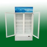 风冷冰柜商用饮料柜双门冷藏柜立式大冷柜保鲜柜玻璃门冰箱展示柜