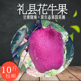 甘肃礼县花牛苹果蛇果10斤 新鲜苹果水果 多地包邮