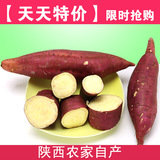 【天天特价】新鲜红薯陕西地瓜番薯白薯沙地板栗红薯农家特产红芋