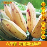 新鲜水果香蕉 牛角蕉 大蕉 小米蕉粉蕉红蕉黄帝蕉批发包邮6斤装