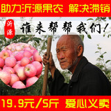新鲜苹果水果山东沂源红富士苹果农家产地直供5斤特价包邮75-80#