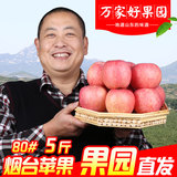 山东烟台农家新鲜水果栖霞红富士苹果纯天然比陕西冰糖心好吃5斤