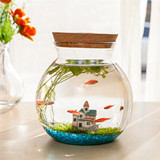 创意水草造景生态小型鱼缸 办公室桌面迷你水族圆形玻璃缸微景缸