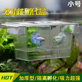 鱼缸幼鱼苗亚克力繁殖盒孔雀鱼孵化盒孵化箱小鱼隔离盒斗鱼盒小号
