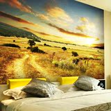 自然风景大型壁画 客厅卧室沙发电视背景墙纸 金色非洲大草原壁纸