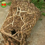 兰花土专用植料君子兰月季蝴蝶兰营养土松树皮珍珠岩盆栽通用肥料