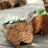 创意桌面摆设长方形木质个性小花盆多肉老桩树根原生态树藤花盆