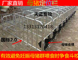 母猪定位栏限位栏厂家  猪用定位栏 母猪产床 保育床养猪设备器械