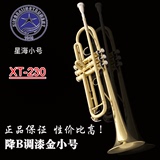 新款正品星海XT-230 小号乐器 降B调 电泳金 三音小号 初学 乐队