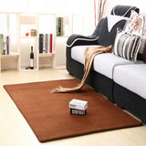特价包邮珊瑚绒地毯纯色地毯门垫客厅地毯卧室茶几满铺短毛可定制