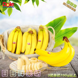 Dole/都乐菲律宾香蕉精品热带新鲜进口水果6把单把700g以上包邮