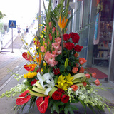 高档花篮 探望病人 长辈生日 客户祝寿 鲜花速递上海同城花店送花