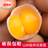 双喜圆正宗双黄鸡蛋益生蛋新鲜双倍营养孕妇月子生态保洁鸡蛋14枚