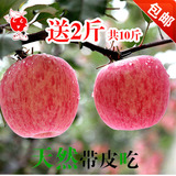 新鲜水果苹果山东烟台栖霞红富士苹果冰糖心苹果农家特产10斤包邮