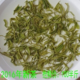 2016新茶有机山东茶叶 日照绿茶 自产自销特级春茶特价250g包邮
