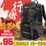 正品骆驼户外登山包男女大容量防水耐磨双肩包旅行徒步背包40L50L