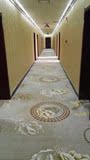 加厚尼龙印花4米宽酒店宾馆地毯 满铺卧室房间走廊设计任何图田园