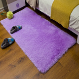 新款加厚可水洗不掉色丝毛卧室床边地毯飘窗地垫房间玄关门垫紫色