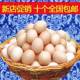 土鸡蛋农家散养正宗新鲜草鸡蛋纯天然柴鸡蛋当天月子鸡蛋全国包邮