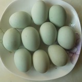 绿壳蛋鸡种蛋五黑一绿受精鸡蛋卵可孵化新鲜散养有机土鸡蛋受精蛋