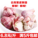 【青年菜农】云南新鲜大蒜农家自种 大蒜头紫皮鲜蒜500g蔬菜