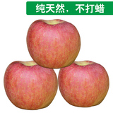 限量 新鲜水果 山东省 红富士苹果 脆甜可口农家自产自销 5斤包邮