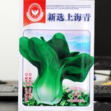 10元包邮上海青 有机青菜油菜新鲜时令应季蔬菜农产品 满包邮