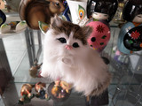 创意礼物仿真猫咪家居摆件玩偶毛绒玩具公仔动物猫咪软装摆件包邮