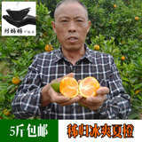 天天特价 秭归脐橙 夏橙 农家自产新鲜水果  孕妇榨汁橙子5斤包邮