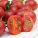 现货正宗海南千禧小番茄水果新鲜圣女果西红柿蔬菜68元/箱限上海