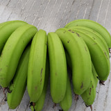 青香蕉芝麻蕉新鲜水果高州桂圆妈妈农家自种4斤无药催熟包邮