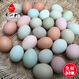 贝江村土鸡蛋农家散养新鲜七彩山鸡蛋孕妇月子柴笨鸡蛋草纯天然