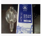 上海世纪亚明1000W金卤灯泡JLZ1000KN BT E40 ED美标金属卤化物灯
