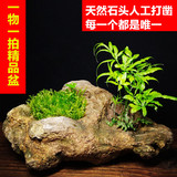 原生态石头双孔植物花盆 天然石器茶几桌面创意多肉拼盘组合盆栽