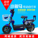 新款48V骏马电瓶车踏板车滑板车代步武汉达标白牌电动车劲骑车行