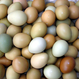 【30枚】包邮促销 农家散养七彩山鸡野鸡蛋 原生态富硒新鲜有机鸡