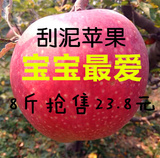 特价8斤75#宝宝刮泥苹果秦冠苹果新鲜水果蒸着吃面苹果粉苹果包邮