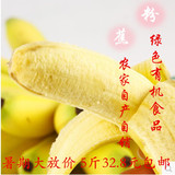 防城港米蕉 新鲜水果粉蕉/小米蕉/香蕉/芭蕉非海南皇帝蕉  5斤