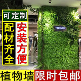 仿真植物墙绿化墙体装饰仿真草坪阳台绿色植物背景墙绿植墙植物