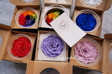 进口巨型玫瑰厄瓜多尔七彩玫瑰8-10cm永生花盒保鲜花DIY配件材料