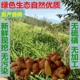 云南农家自种有机小黄姜 土姜 姜母 月子姜 姜种 生姜 老姜原始点
