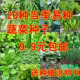 20种夏秋季蔬菜种子套餐 阳台盆栽四季播易种菜种子 家庭菜籽包邮