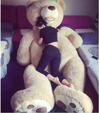 正品美国大熊超大号毛绒玩具公仔巨型泰迪抱抱熊布娃娃生日礼物女