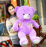 包邮薰衣草小熊泰迪熊毛绒玩具抱抱熊布娃娃紫色熊公仔生日礼物